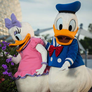 Meet your Posher, Elaine